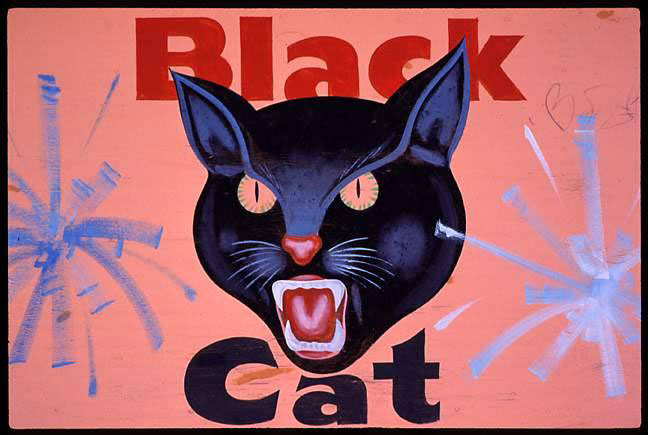 black cat