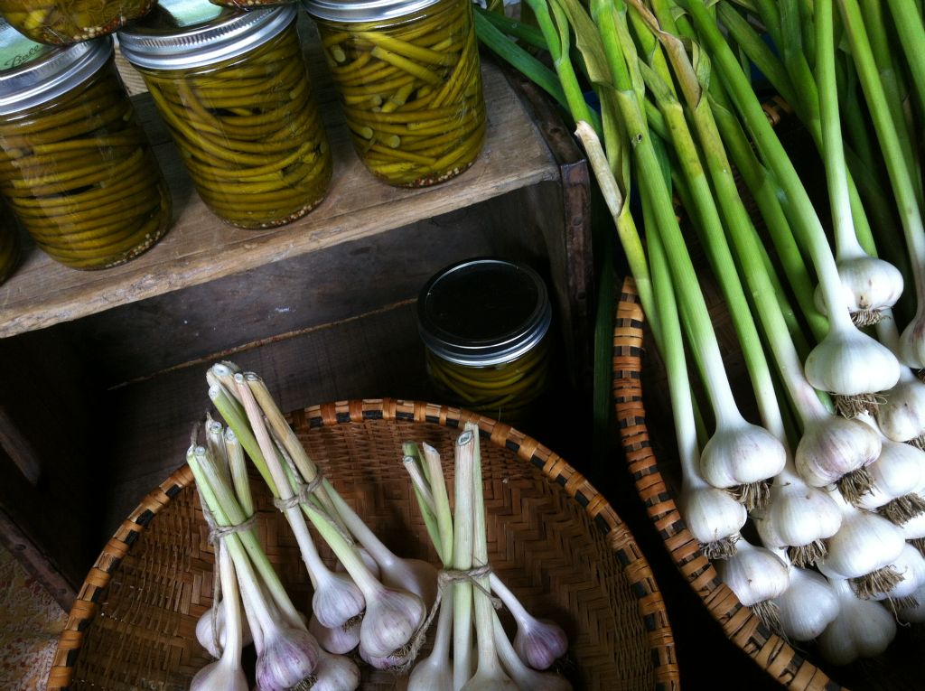 farmers market