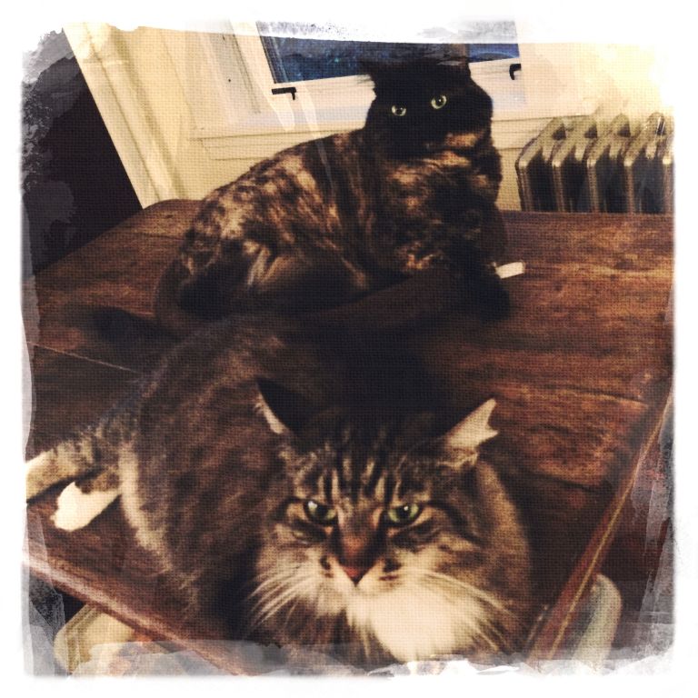 With her sister - Phoebe