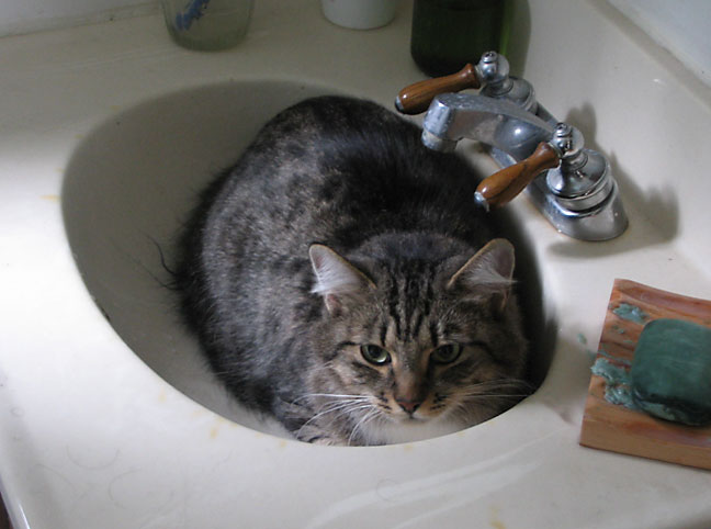 Our first day – Dec 25, 2005