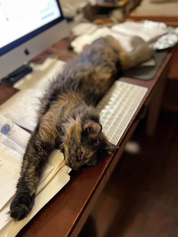 Why I can't get any work done